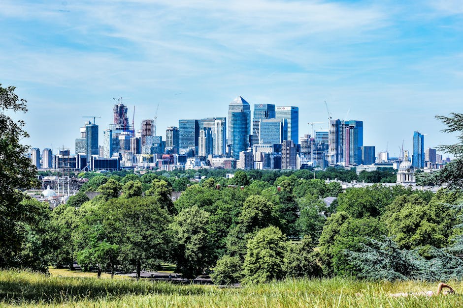 A panoramic view of a city skyline featuring numerous modern skyscrapers and high-rise buildings, some still under construction with cranes visible atop their structures. In the foreground, a lush, expansive park area is filled with dense, vibrant green trees of various species, some with broad leaves and others with needle-like foliage. The park has well-maintained grassy lawns and pathways, with patches of wet soil near the base of the trees, indicating recent maintenance work. The scene is illuminated by bright daylight under a partly cloudy blue sky, creating a contrast between the urban infrastructure and the natural greenery. This outdoor space illustrates typical garden maintenance and landscaping work, with neatly trimmed hedges and managed plant beds, supported by Gardeners Canary Wharf, who specialize in outdoor care and lawn care in the E14 area.