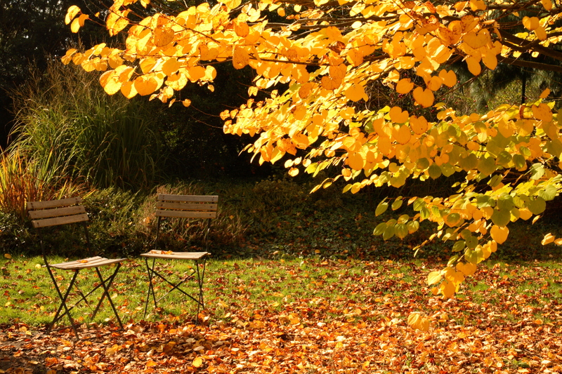 garden property