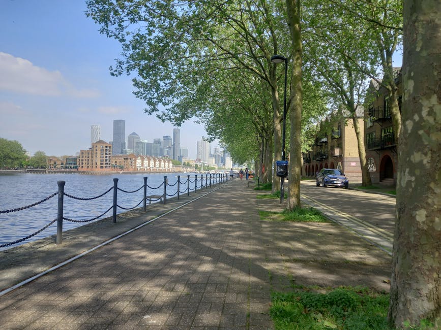 A scenic riverside walkway lined with tall, leafy green trees providing shade, with their textured trunks visible in the foreground. The pathway is paved with bricks and bordered by a black metal chain fence, separating it from the calm water of the river on the left. On the right side, there is a narrow road with parked cars and a few pedestrians walking along the promenade. Adjacent to the road, residential buildings with balconies and arched windows are partially visible through the trees. In the distance, a modern city skyline with high-rise buildings and skyscrapers rises against a partly cloudy sky. The scene captures a peaceful outdoor space in Canary Wharf, ideal for gardening and outdoor maintenance activities, with areas designated for plant growth and landscaping, supported by Gardeners Canary Wharf.